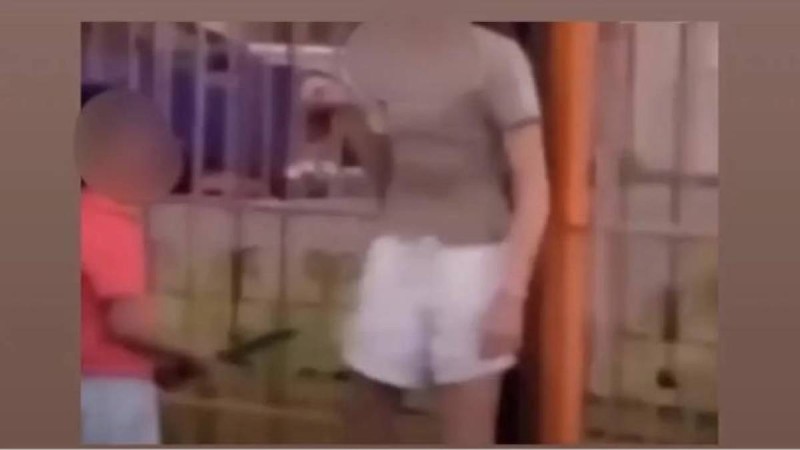 Қатарластарына пышақ кезенген алты жасар баланың әрекеті елді шошытты