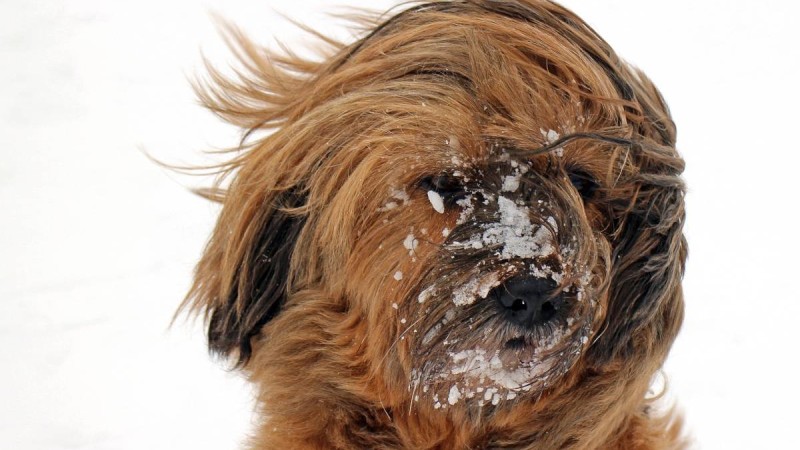 Көктайғақ болып, бұрқасын соғады: 13 қарашаға арналған ауа райы болжамы