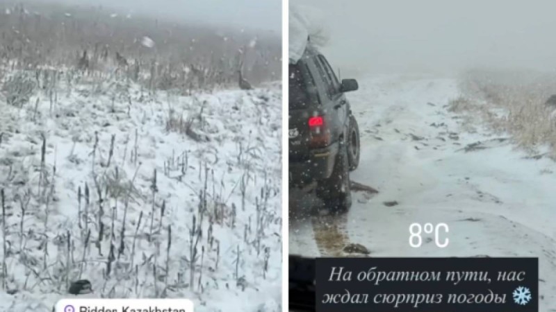 "Кеше ғана жаз еді": Шығыс Қазақстан облысында қар жауды