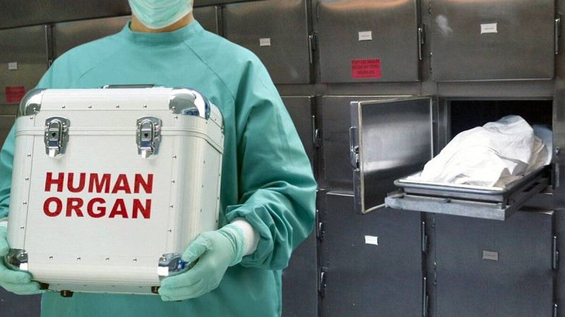 Мәйітханаларда адам ағзасы алынатыны рас па?