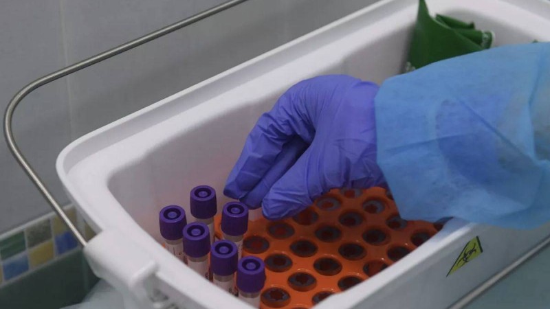 Сарапшы қытайлық хантавирустың ерекшелігі жайлы айтты - Қазақстан жаңалықтары