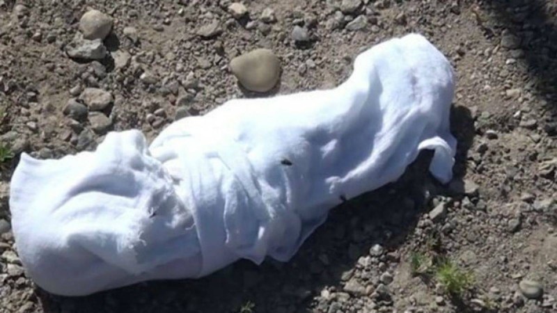 Қостанай облысындағы зираттан сәбидің денесі табылды - Қазақстан жаңалықтары