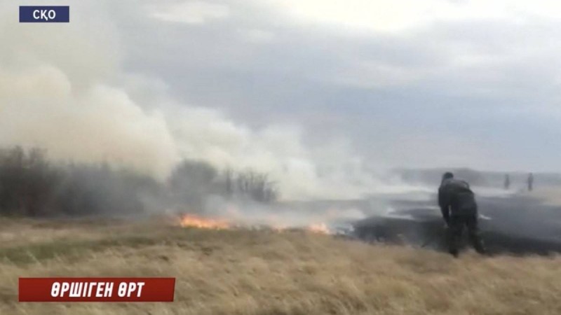 Ауылдықтар өздері сөндіріп жүр: СҚО-да дала өрті өршіп барады - Қазақстан жаңалықтары