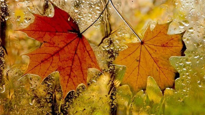 Қар мен жаңбыр: 10 қараша күнгі ауа райы болжамы