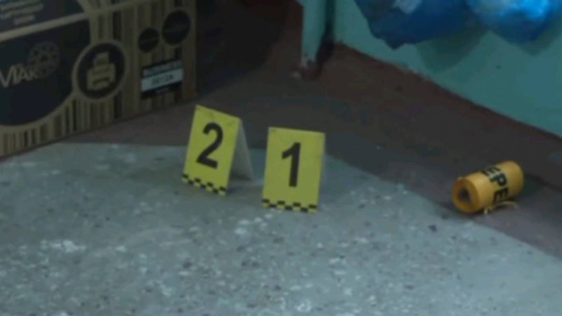 Павлодардағы анасы мен үш баласының өліміне қатысты жаңа деректер белгілі болды