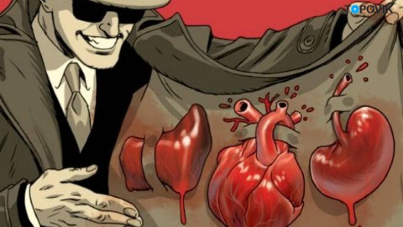 Ол Аяжанның органын сату үшін өлтірген болуы мүмкін - заңгер