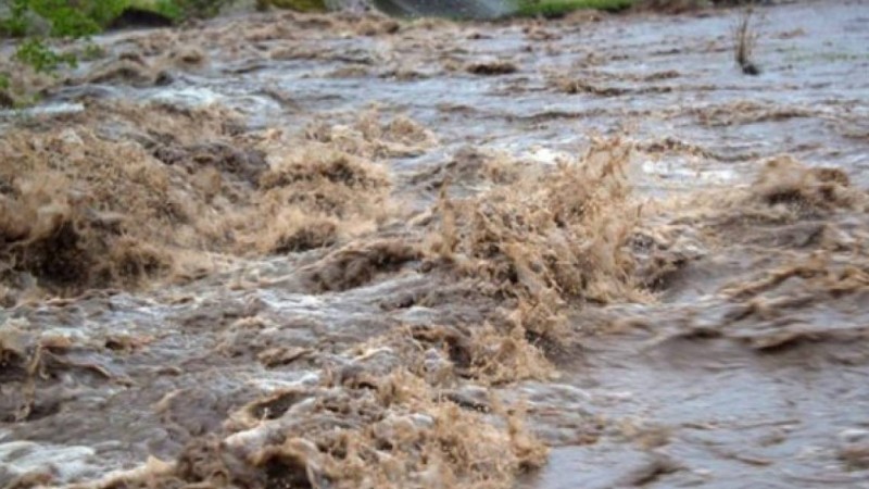 Жамбыл мен Алматы облыстарында су тасқынына қарсы жұмыс жүргізілді - ТЖМ