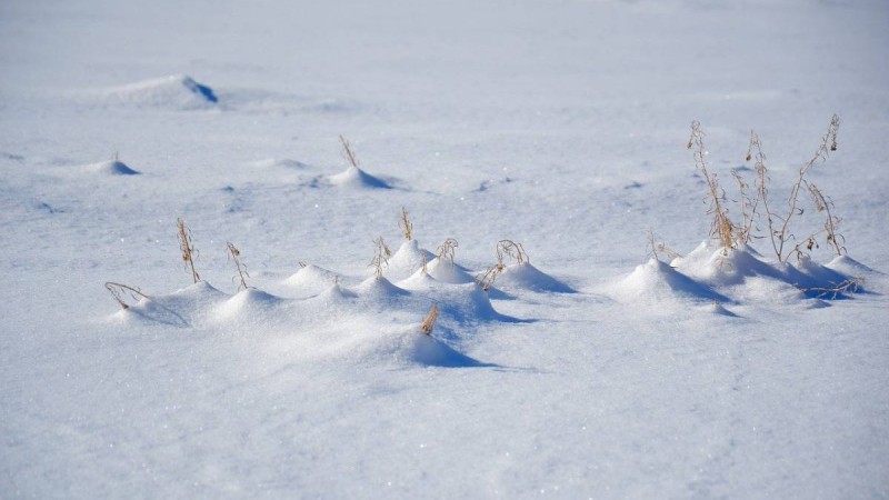 Қазақстанда күн суытады