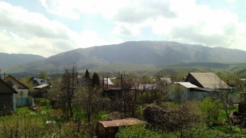 Мен қытай болсам да, бұзауым местный