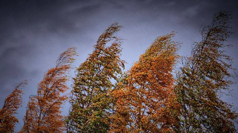 Жауын-Шашын: Қарашаның 7-сі күнгі ауа райы болжамы