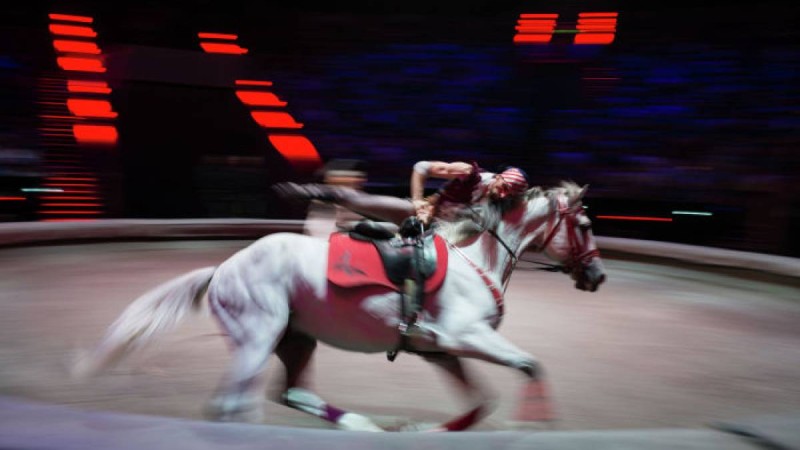 Қазақстандық цирк әртісі Қытайда комаға түсті