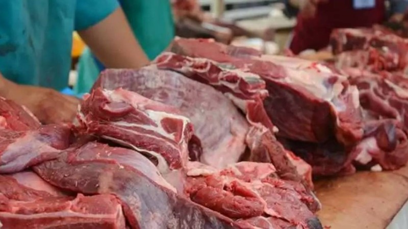 Ғалым киік етін өңдейтін арнайы комбинат салуды ұсынды