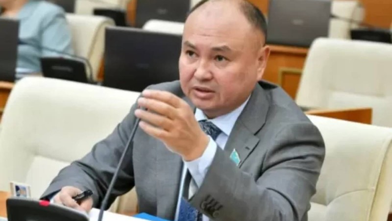 Депутат билікті Пәкістандағы этникалық қазақтарды құтқаруға шақырды