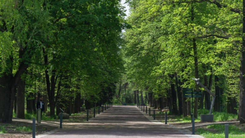 Алматының әкімі Тоқаевқа қандай ұсыныс жасағанын айтты