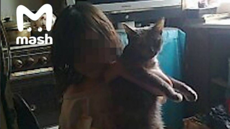 19 мысықпен бірген тұрған: Мысықтардың тамағын жеп күн көрген "Маугли қыз" табылды