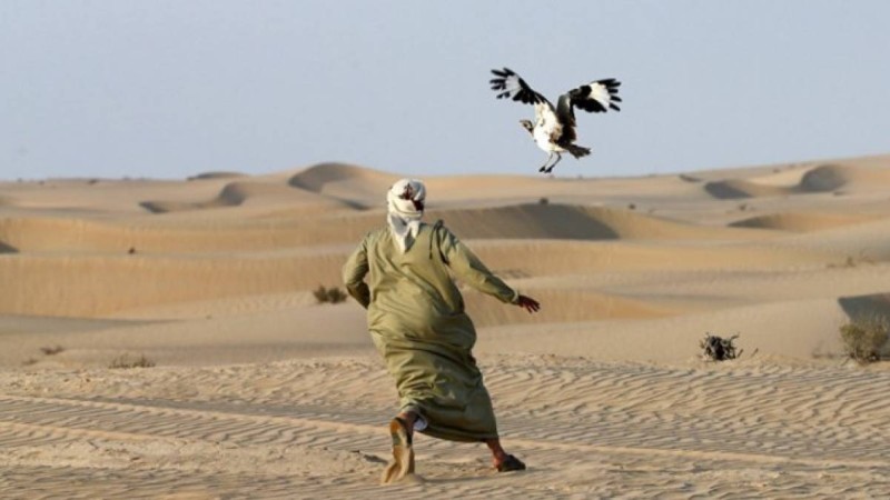 «Қызылорда облысында құнарлы жерлер арабтарға сатылып жатыр» - қоғам белсендісі