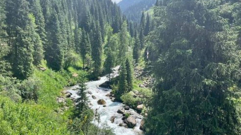 Алматының туризм бағытындағы перспективалары