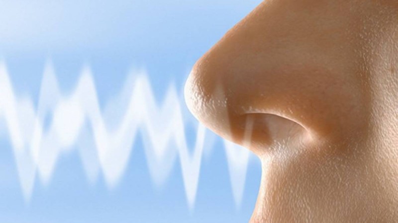 Иіс сезбей қалған адамдарда коронавирустан бөлек қауіпті ауру болуы мүмкін