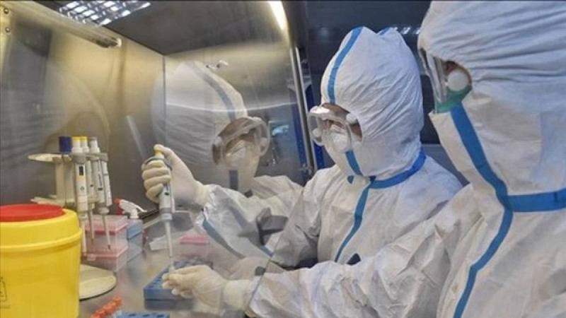 Бір аптада коронавирустан қайтыс болған 32 адам туралы мәлімет жарияланды