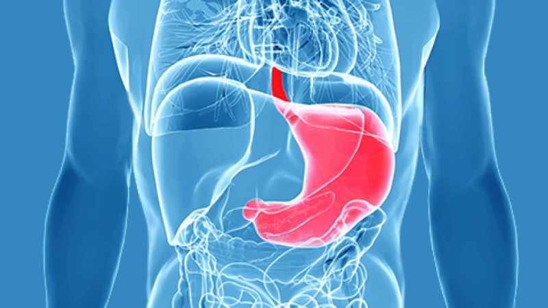 Танымал дәрігер асқазанның қатерлі ісігіне себеп болатын өнімді атады