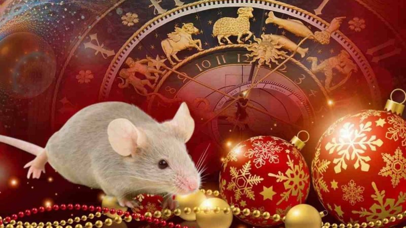 2020 жыл кімді қуантады: Шығыс күнтізбесі бойынша жұлдыз жорамал - Қазақстан жаңалықтары