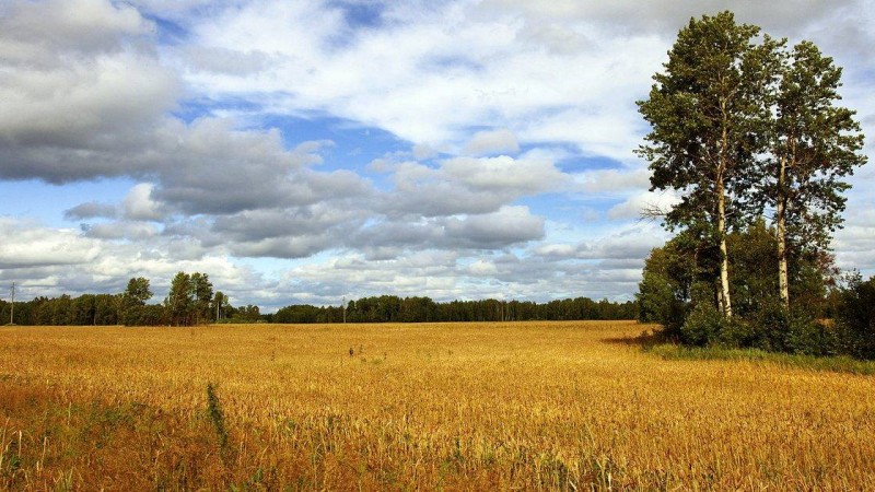 Жер реформасы бойынша комиссия құрамы бекітілді