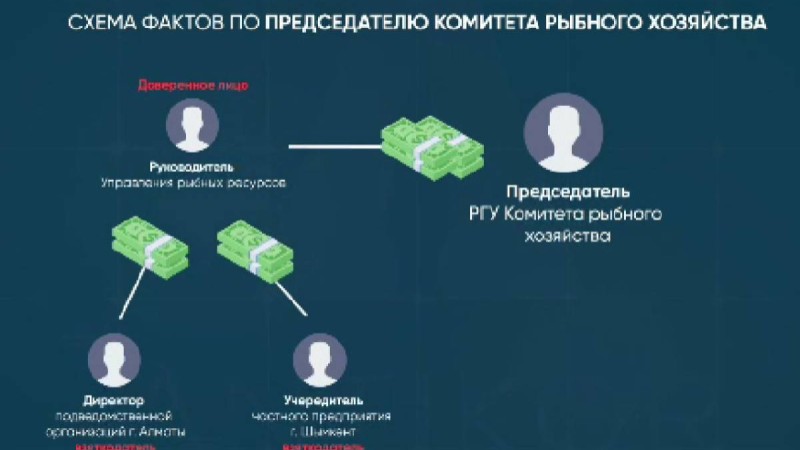Антикор Ауыл шаруашылығы министрлігіндегі пара алу ісі бойынша схема мен хаттарды көрсетті