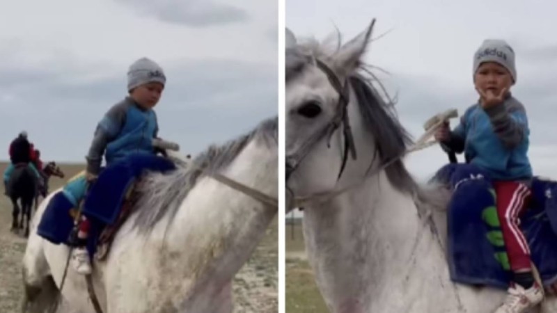 "Біздің бала-шаға дамбалын әрең киіп жүр". Желіде ат үстінде сенімді отырған 3 жасар шабандоз көпті тәнті етті