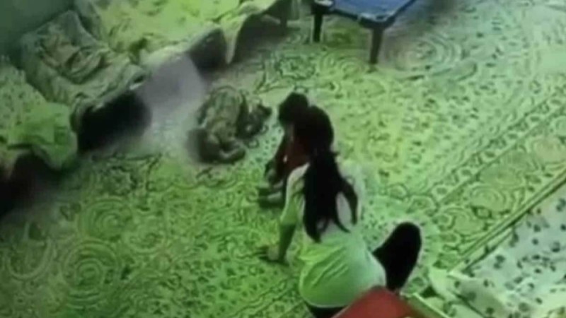 Жетісу облысында балаларды қылқындырып, соққыға жыққан тәрбиешілер жұмыстан шығарылды