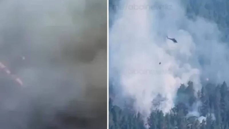 Абай облысында орман өртенді