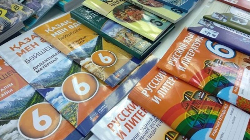 Білім министрі мектептерге әдеби кітаптарды көптеп сатып алуды тапсырды  
