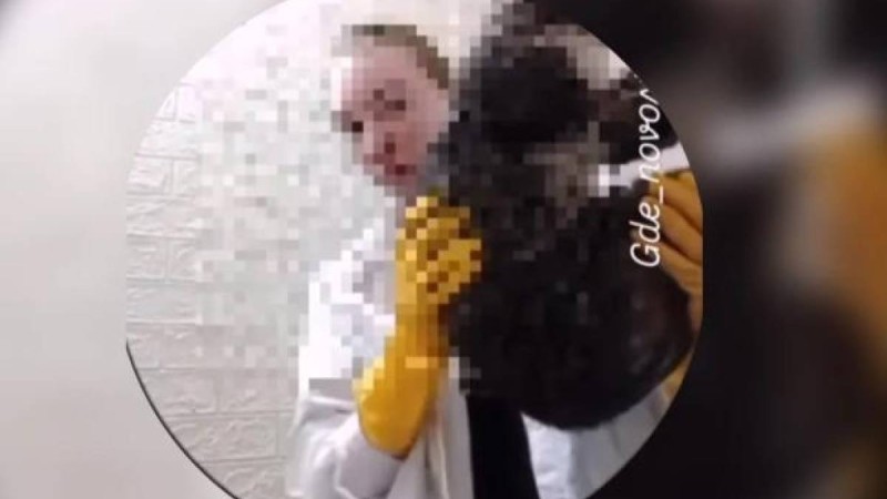 ШҚО-да 17 жастағы қыз ит-мысықты сойып, олардан сувенир жасап отырған 