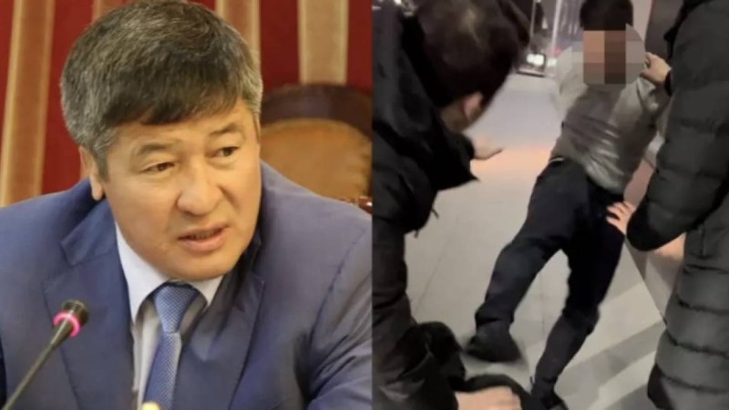 Жоғарғы сот Дәулет Тұрлыхановтың ұлына кесілген сот үкімін өзгертті