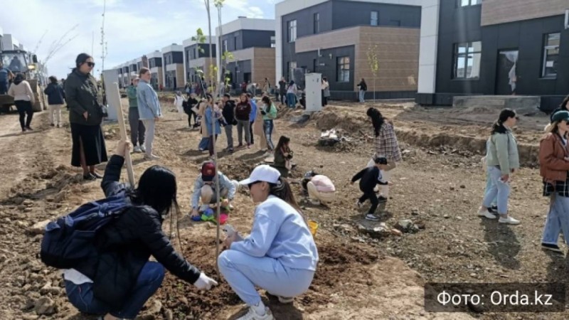 Тұрмыстық зорлық-зомбылыққа қарсы адамдар Астанада ағаштар аллеясын отырғызды