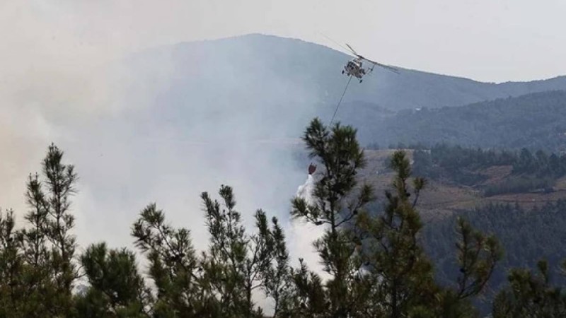 Түркияда өршіген орман өрттері жүздеген адамды эвакуациялауға мәжбүр етті