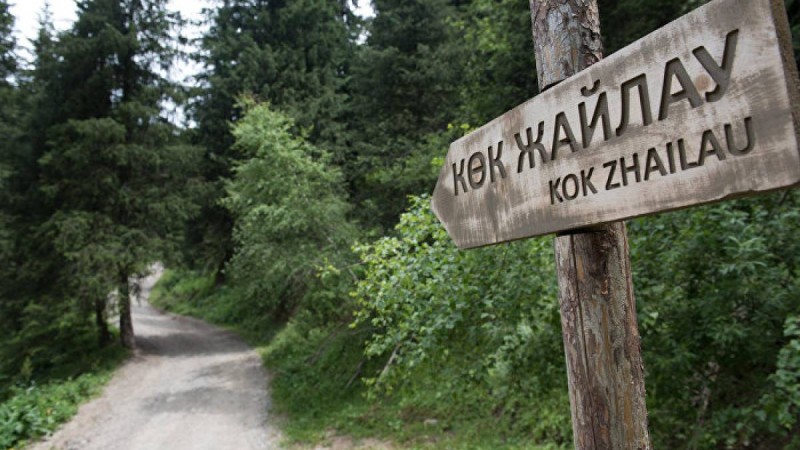 Полиция "Көк Жайлаудағы кино түнін" ұйымдастырушыларды іздестіруде