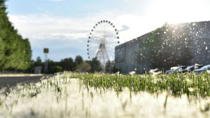 Қазақстанда 26 мамырда қандай маңызды оқиғалар болады