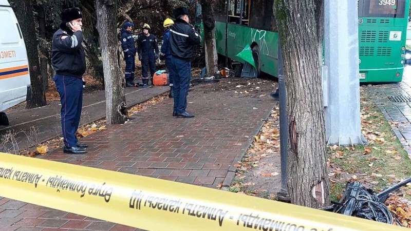 Адам өлімі тіркелген жол көлік оқиғасына себепкер автобус жүргізушісінің әйелі Тоқаевқа үндеу жасады