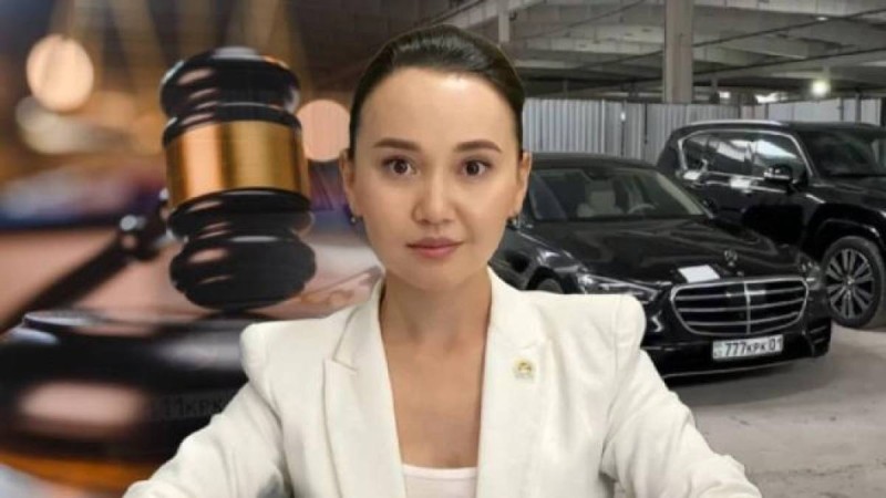 "Диплом сатып алу" - Перизат Қайрат сотында тағы бір іс пайда болды