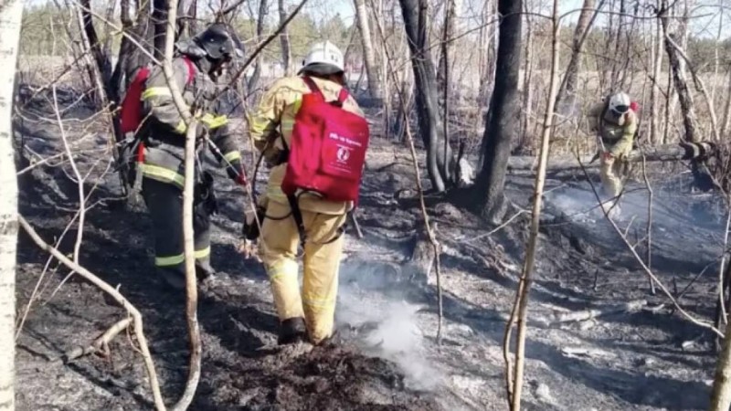 “Семей орманындағы” табиғи өрт өшірілді