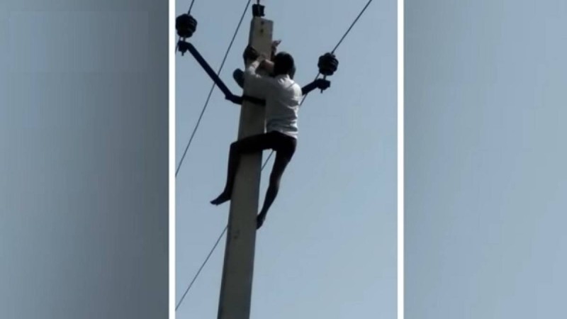 Балаларынан екінші рет үйленуге рұқсат ала алмаған қария электр бағанына мініп алды (видео)