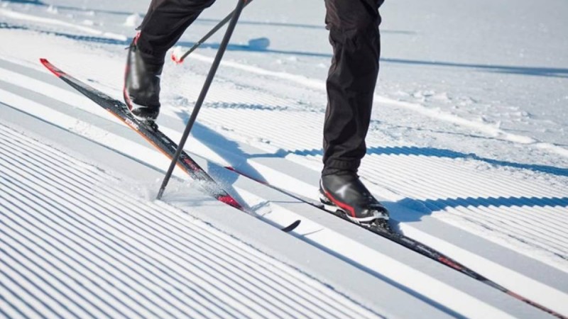 Жасөспірім шаңғы базасында ағашқа соқтығысып, қаза тапты