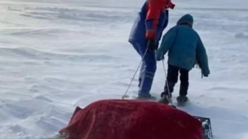"Азамат екен". Науқас әкесін жедел жәрдемге дейін шанамен сүйреген балақай жұртты сүйсіндірді