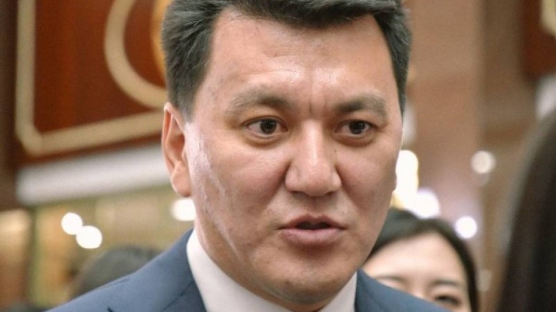 Ерлан Қарин биыл Қазақстанды қандай саяси реформалар күтіп тұрғанын айтты