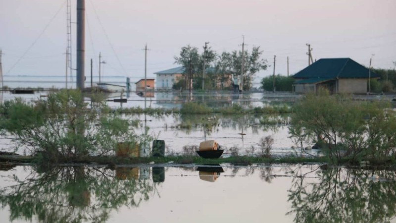 Мақтааралда 1300 отбасы Әлішер Усмановтың қорынан мың доллардан алды - Қазақстан жаңалықтары
