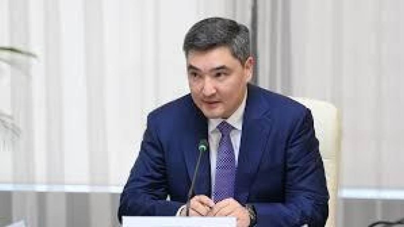 Премьер-министр Перизат Қайраттың ісіне қатысты пікір білдірді