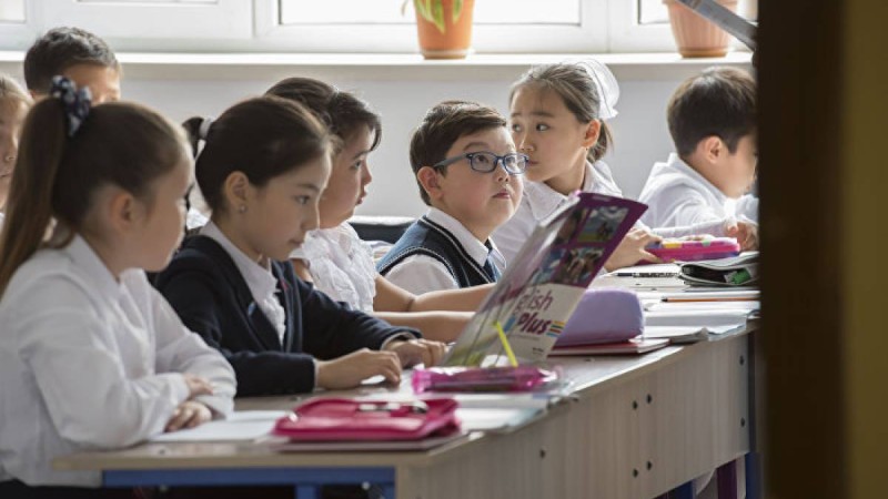 Сенатор білім саласындағы былықты жайып салды   