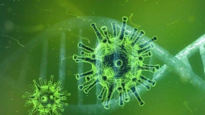 Коронавирус мутациялана бастады: Жаңа вирусқа 20A.EU1 деген атау берілді