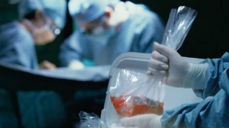 5 адамның өмірін бір донор құтқарды - Қазақстан жаңалықтары