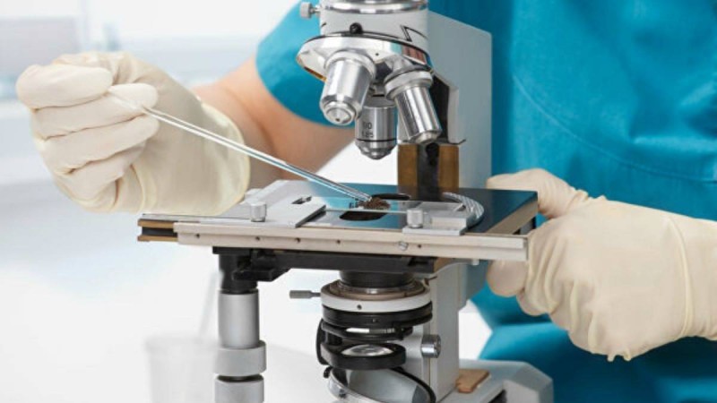 Ғалымдар коронавирус бедеулікті тудыратыны туралы қауесетті жоққа шығарды - Қазақстан жаңалықтары